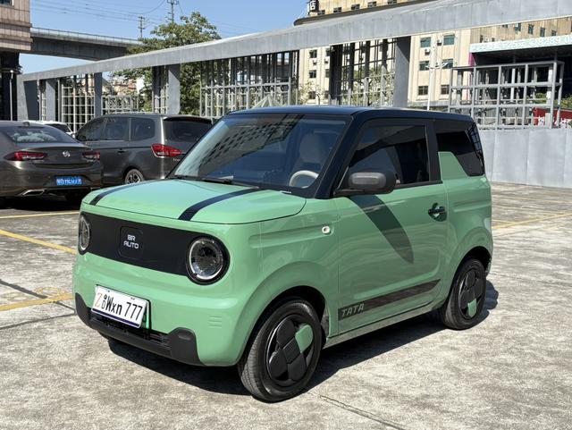 Pre-Owned Panda 2023 Model 200km Panda Mini Endurance Bear