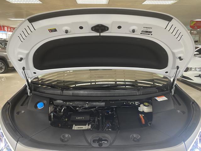 Certificated Used BYD Xia 2025 DM-i 180KM Premium Edition