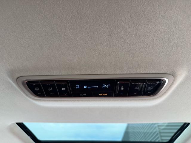 Certificated Used Dajia 9 Super Hybrid 2024 Edition 1.5T Extra-Long Range Forest Version