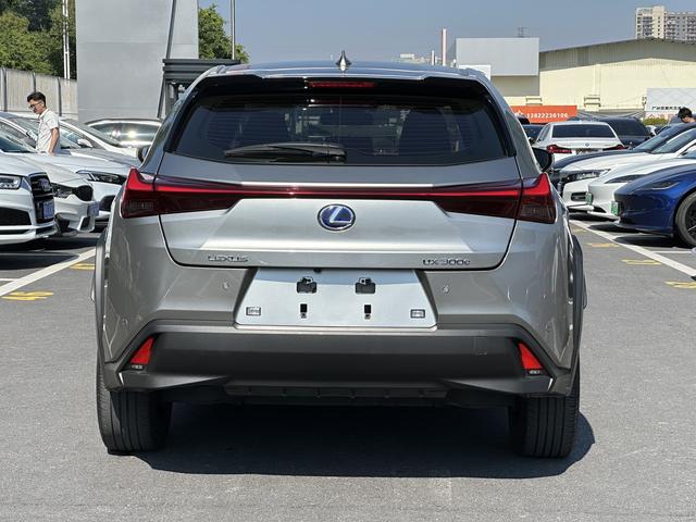 Pre-Owned Lexus UX EV 2020 Model 300e Pure · Joy