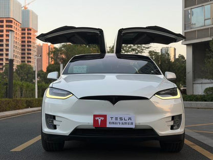 Pre-Owned Tesla Model X 2017 100D Long Range Edition