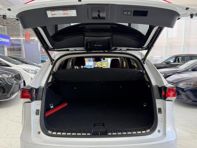 Certificated Used Lexus NX 2018 Edition 200 All-Wheel Drive F Sport Edition China V - u22064709