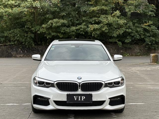 Certificated Pre-Owned BMW 5 Series 2019 530Li Leading Model M Sport Package - u22271938