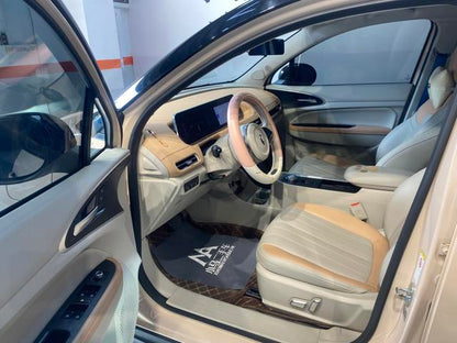 Pre-Owned Ora Good Cat 2022 Model 400km Standard Range Premium Version Lithium Iron Phosphate