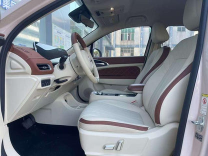 Pre-Owned ORA Good Cat 2022 400km Standard Range Luxury Edition (Lithium Iron Phosphate)